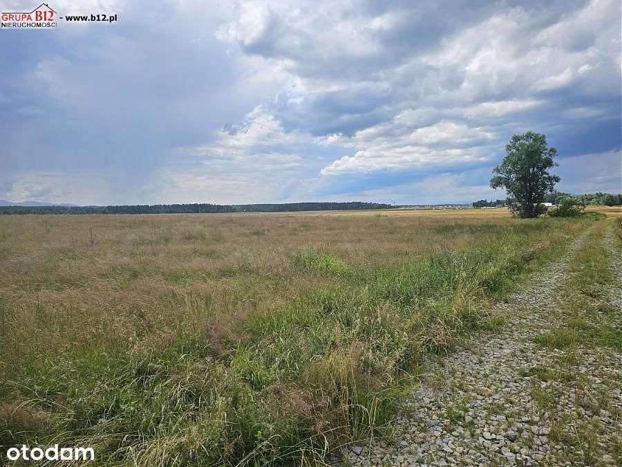 działka komercyjna z uregulowanym dojazdem - Pełny obrazek: 5/8