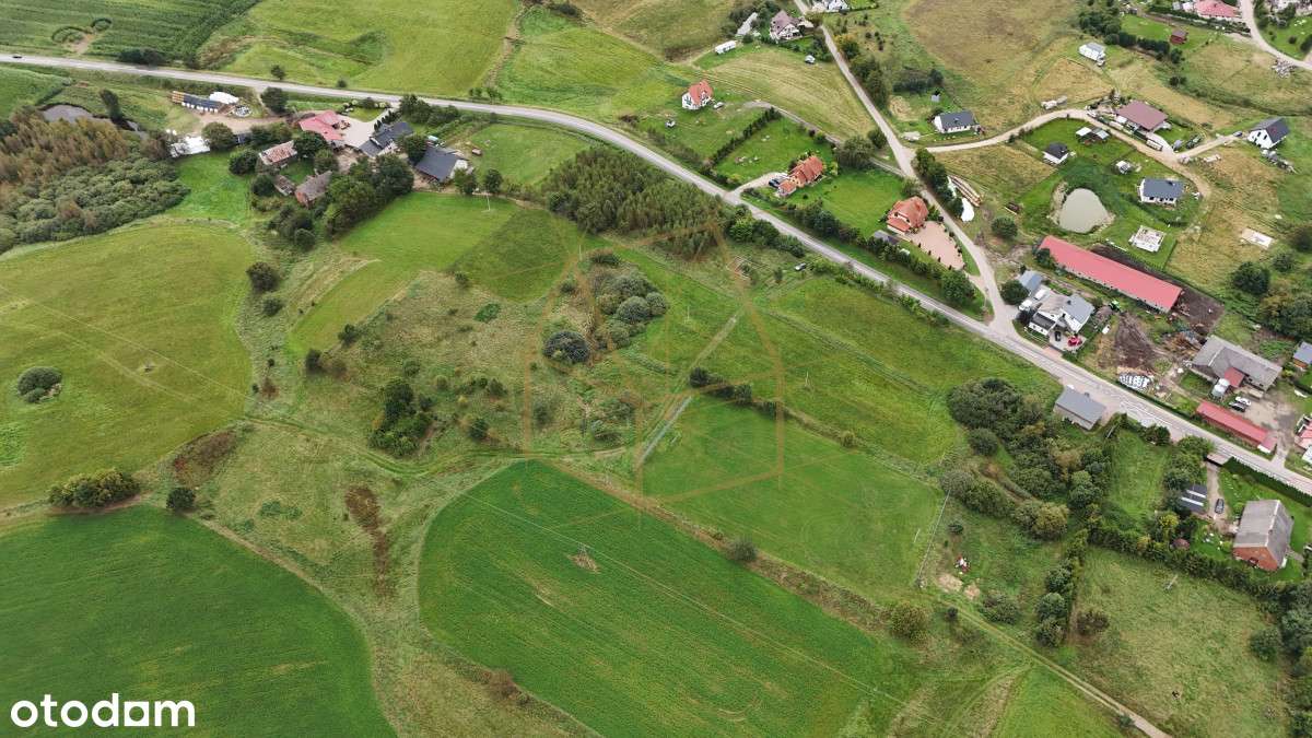 Jezioro/Kameralne Osiedle/ Pod Budowę/ Las/ Kamela-7