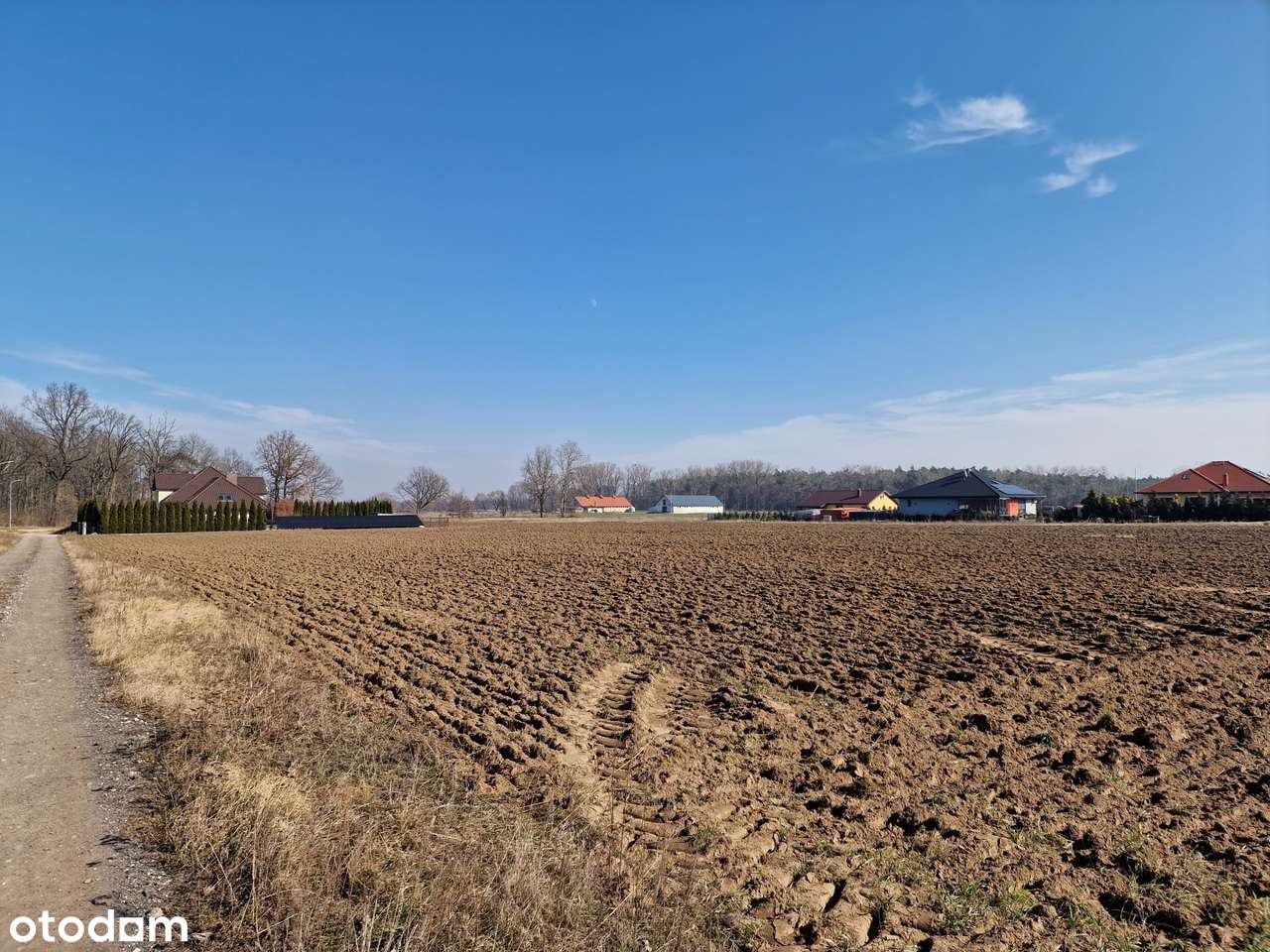 Syndyk sprzeda udział 3/4 do działki w Ludwinowie - niższa cena - Pełny obrazek: 3/4