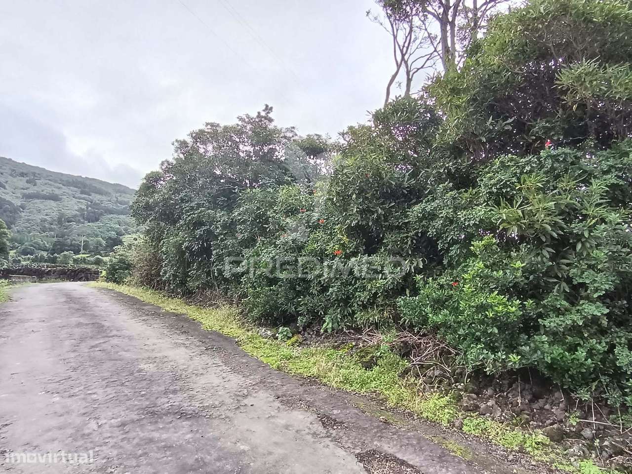 Terreno Agrícola, para venda, na Prainha, São Roque do Pico - Grande imagem: 4/7
