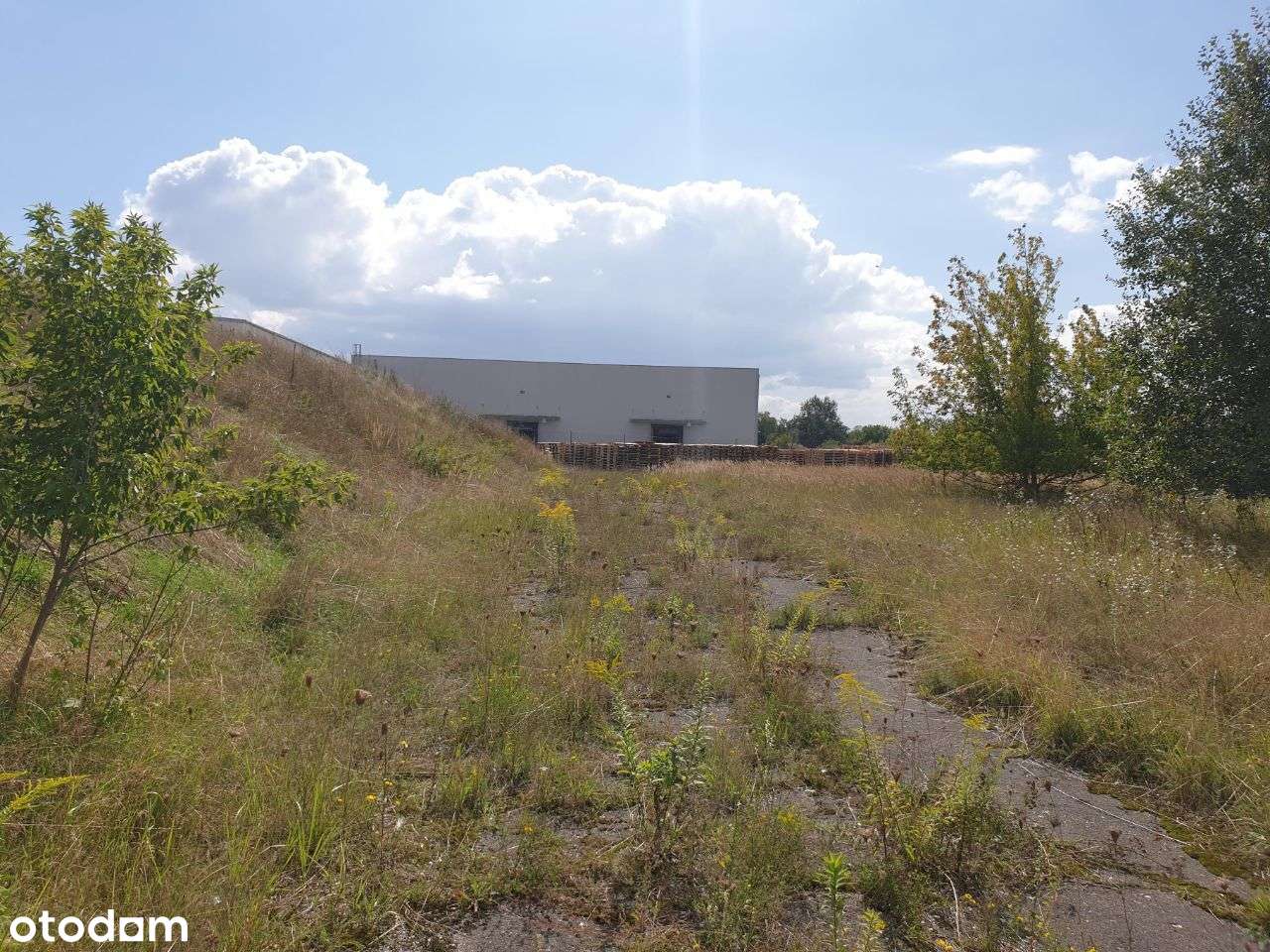 Zabudowa wielorodzinna + usługi _ MPZP "4MW/U" - Pełny obrazek: 4/13