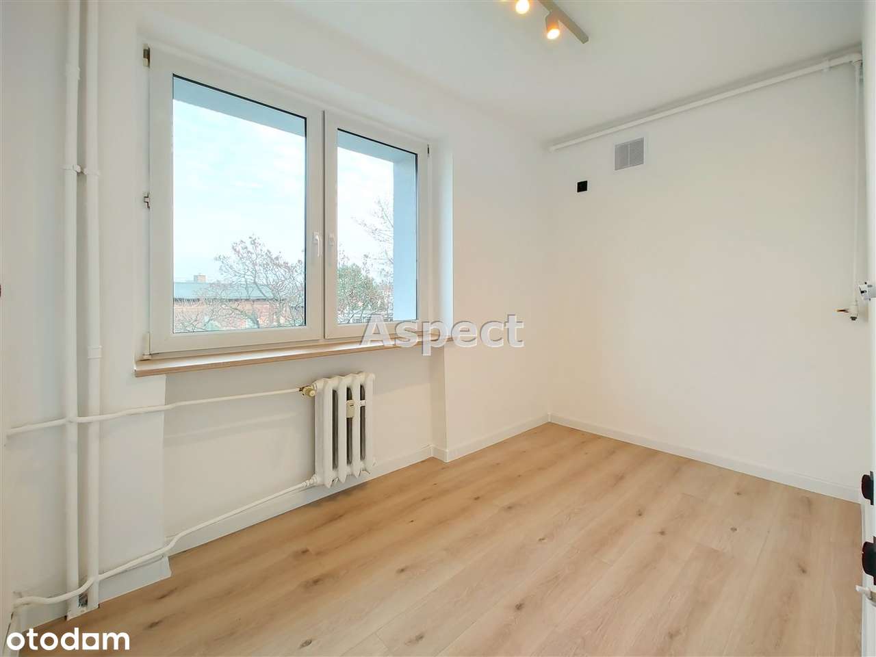 Kawalerka z oddzielną kuchnią-Gliwice, Śródmieści - Pełny obrazek: 4/8