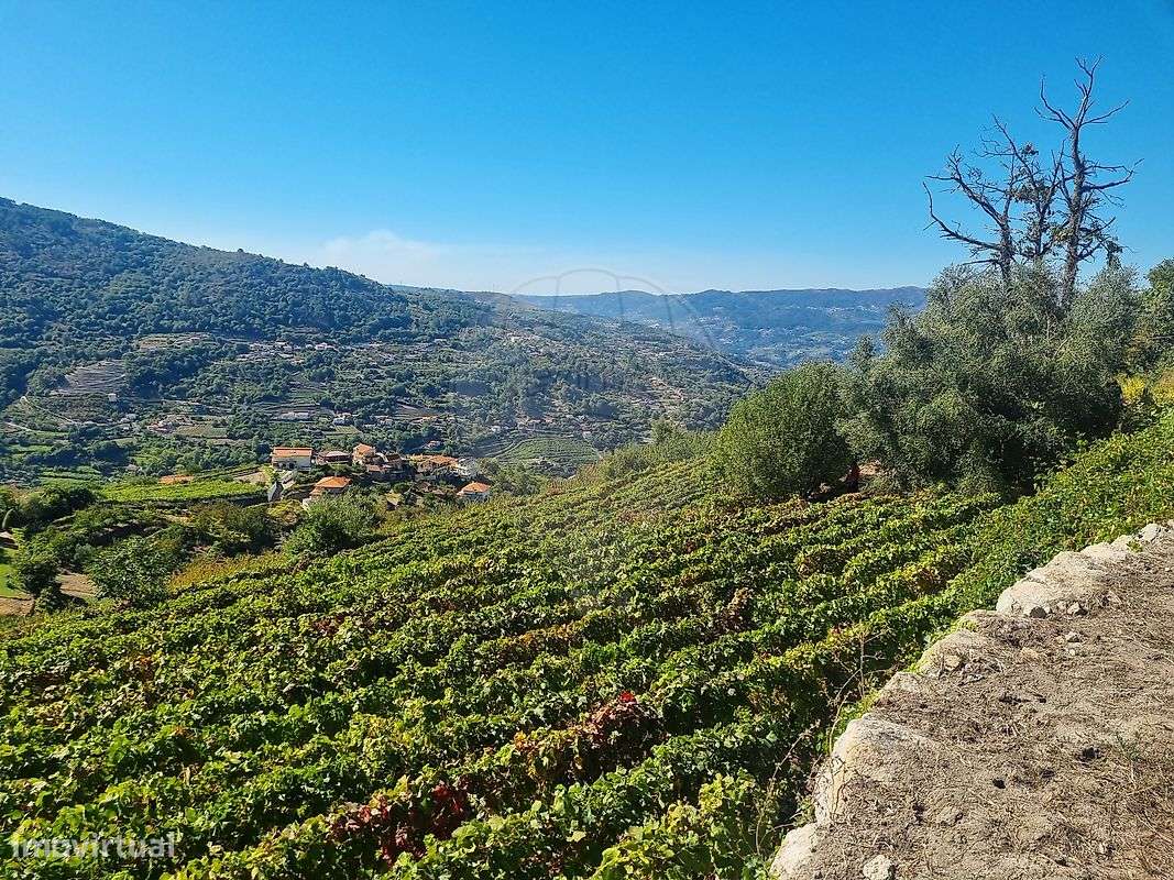 Quinta  para venda-32