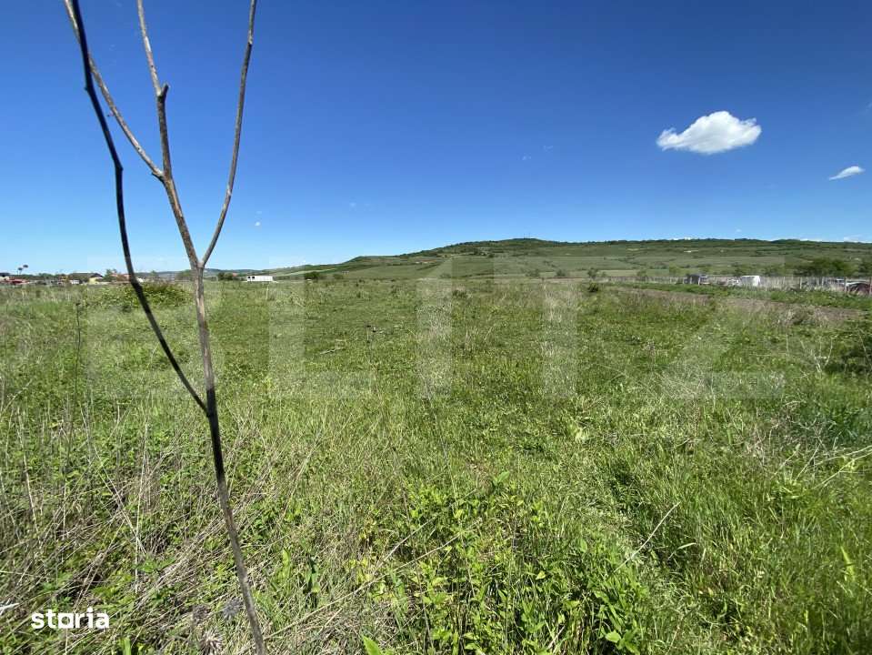 Teren Intravilan zona Industriala - Imagine principală: 2/3