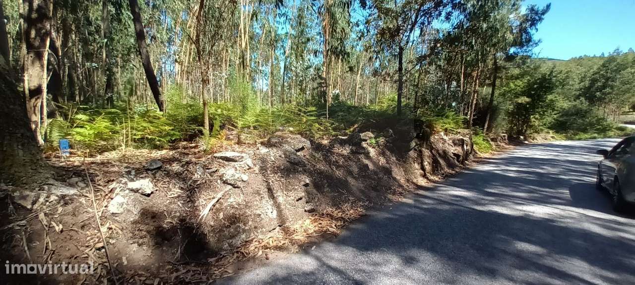 Terreno para construção em V. N. de Cerveira - Grande imagem: 5/9