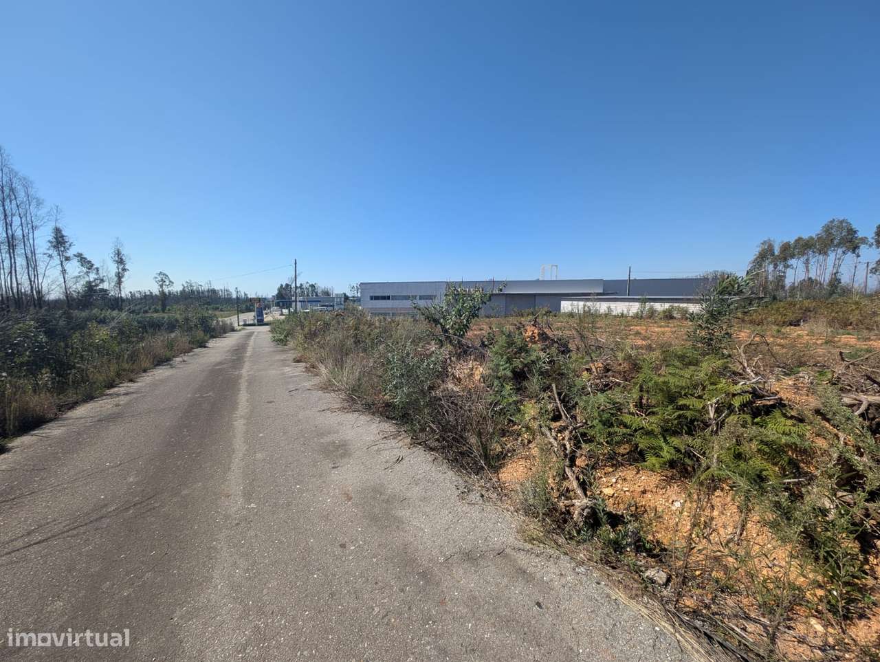 Terreno em Albergaria-a-Velha - Grande imagem: 4/6