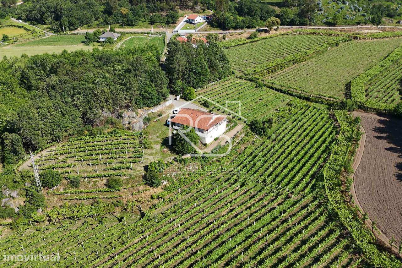 Quinta T6 | Selho São Jorge, Guimarães-17