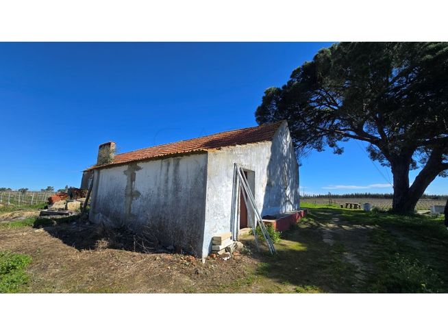 Herdade de 28.000m2 com vinha moscatel e habitações-13