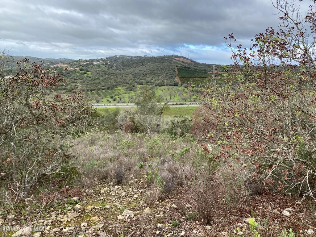 Lote de terreno rústico  com uma área de 19.560 m2, situado no Medronh