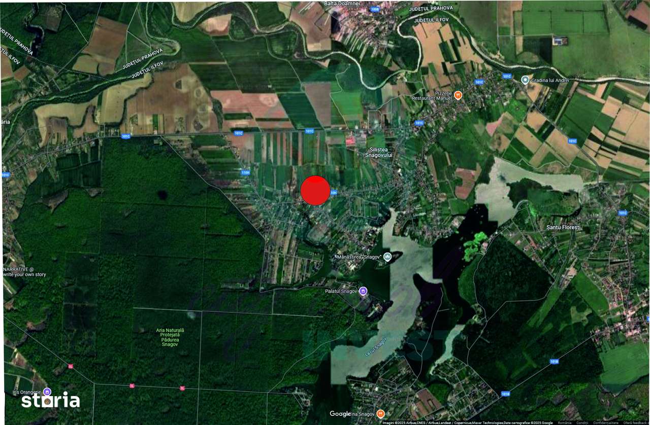 Teren 16534 mp pentru dezvoltare rezidențială, Siliștea Snagovului - Imagine principală: 3/7