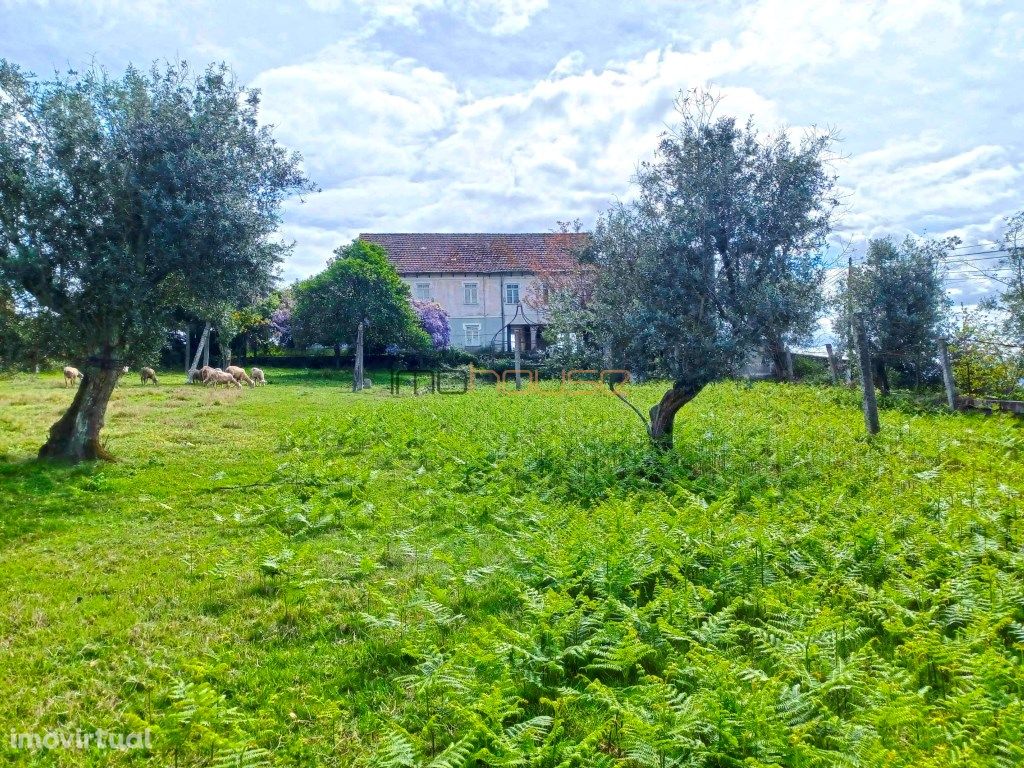 Quintinha com Casa de traça antiga - Marco de Canaveses