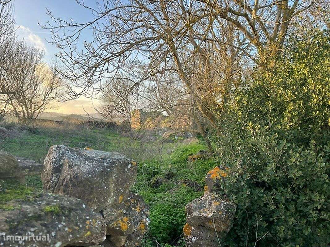 Quinta  para venda - Grande imagem: 5/22