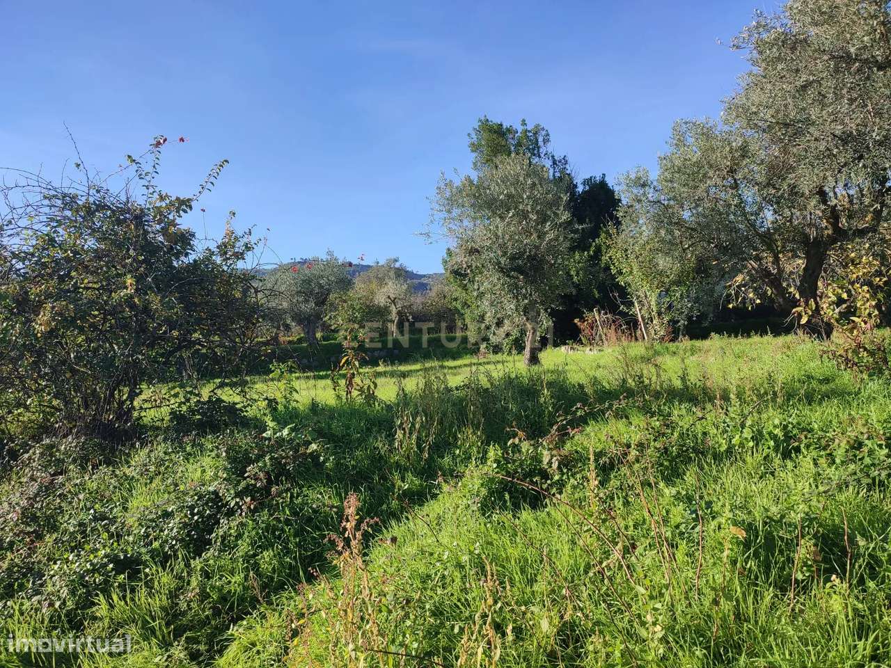 QUINTINHA no Louriçal do Campo, Castelo Branco - Grande imagem: 3/32