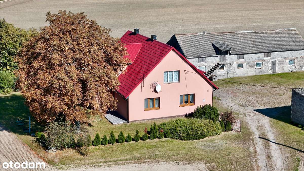 UROKLIWE SIEDLISKO – Korytowo - Pełny obrazek: 3/20