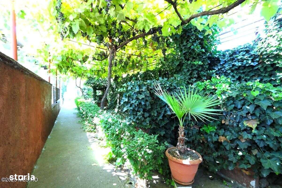 Palazu Mare - Strada Gheorghe Baritiu 16, casa cu teren de 680 mp!
