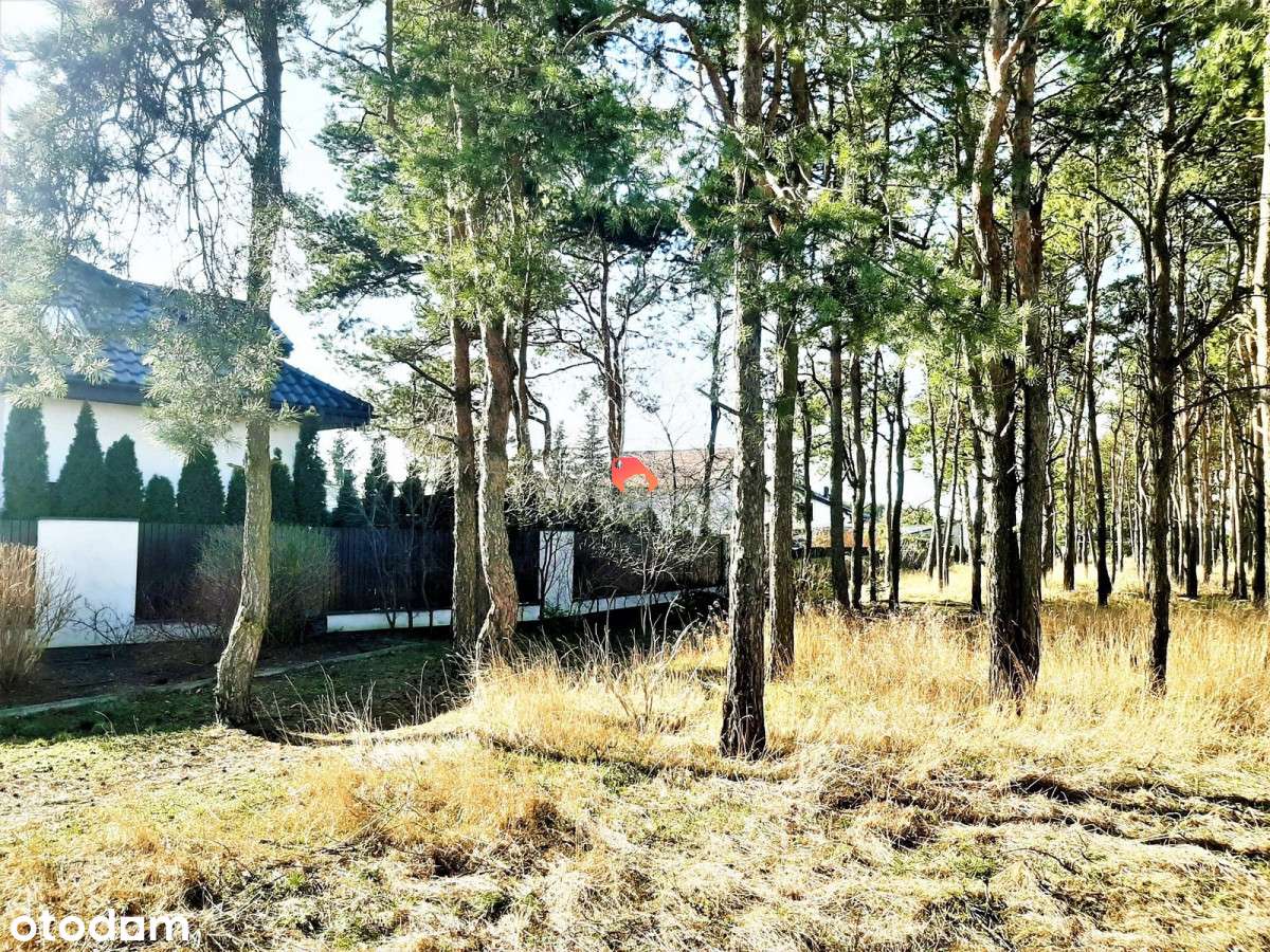 Działka z W.z. W Zamościu 2412m2 - Pełny obrazek: 4/4