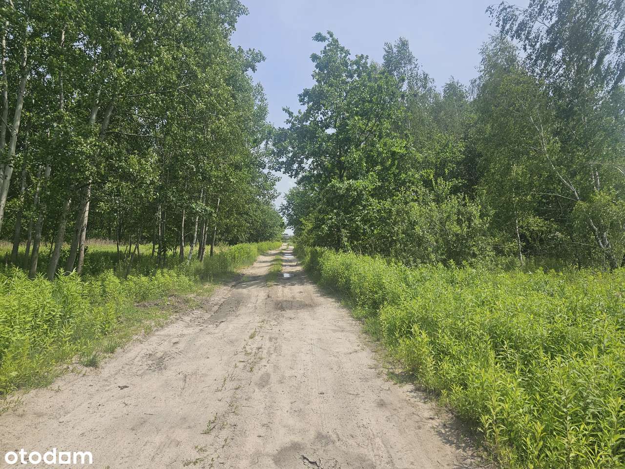 Blisko trasy S17. Uchwalony MPZP - USŁUGI / PRZEMYSŁ. Brak sąsiadów-0