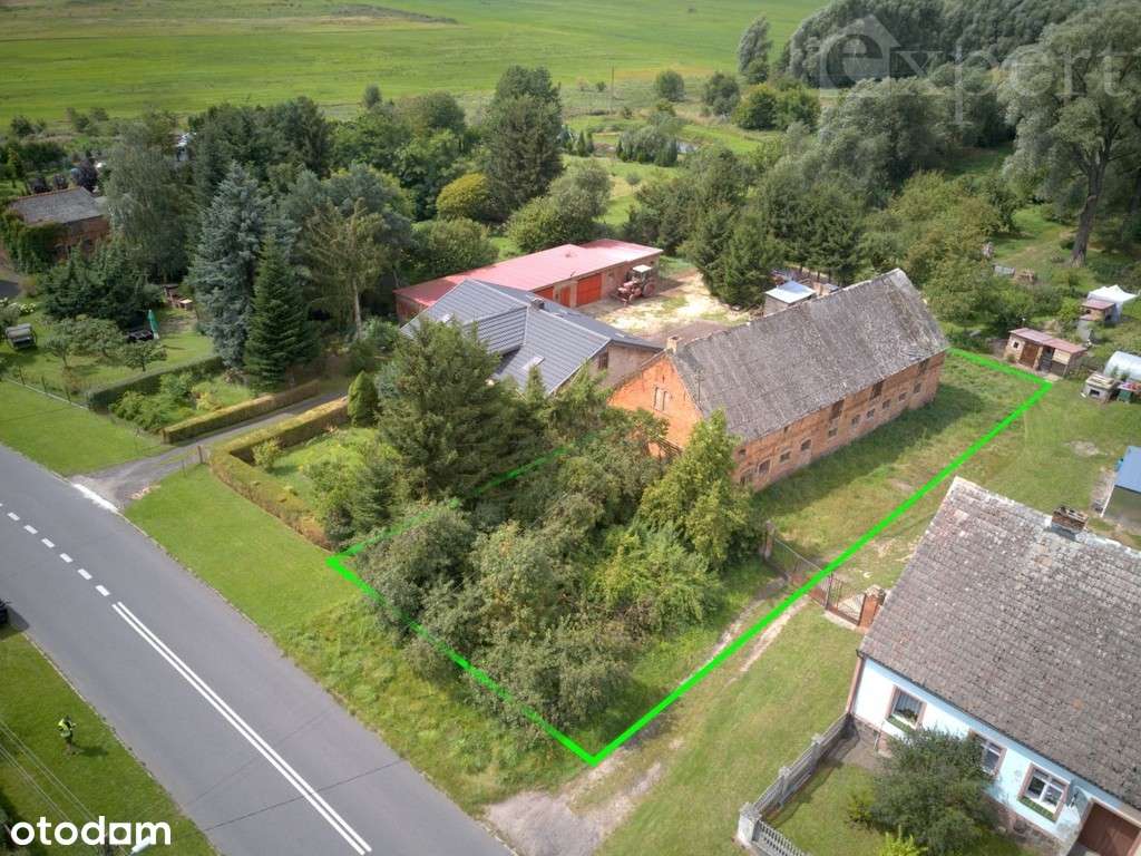 Działka rolna zabudowana w Brudzewicach - Pełny obrazek: 3/5