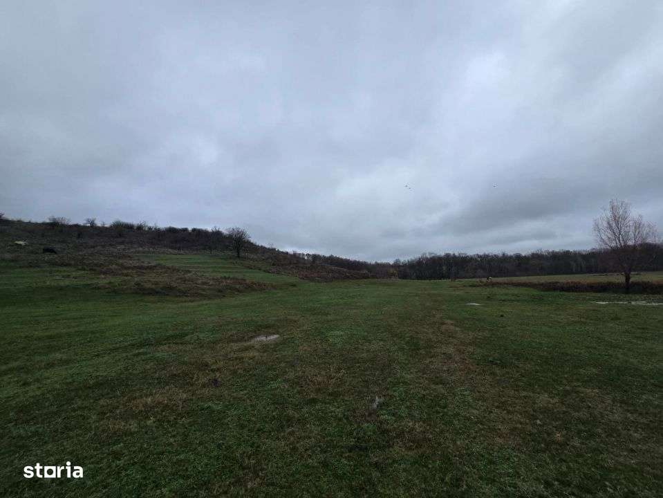 Teren  100.000 mp, Recea-Albota-7