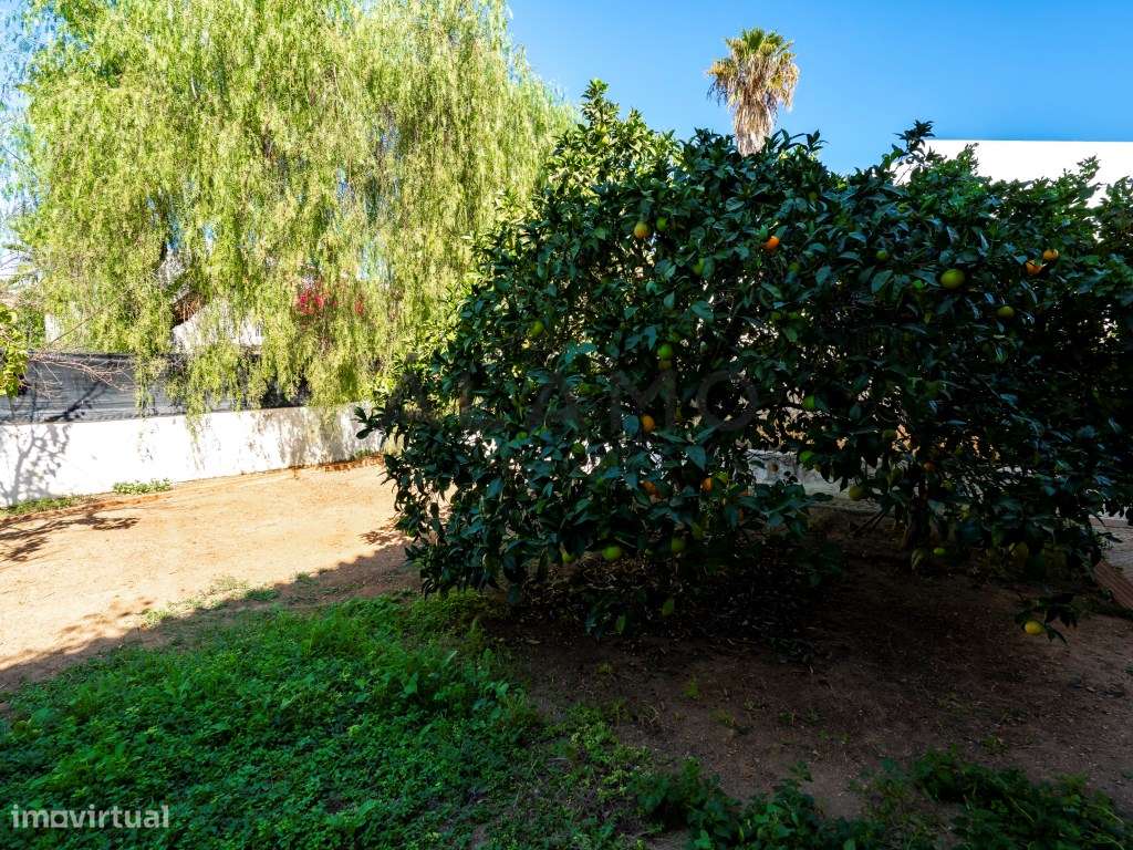 Charmosa Moradia Tradicional em Vale Formoso-31