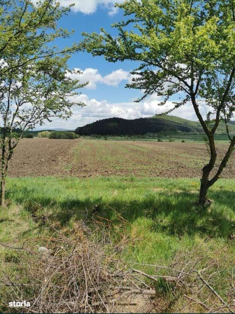 Ocazie ! Parcele 600 mp Sânpetru plata în rate! - Imagine principală: 1/4