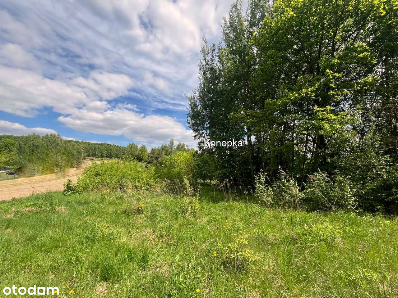 Przestrzeń dla Twoich marzeń w Dolinie Mnikowskiej-1