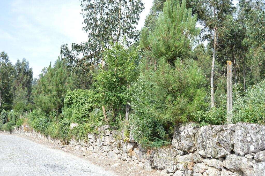 Terreno para construção em Termas de São Vicente de 83204,00 m2 - Grande imagem: 4/17