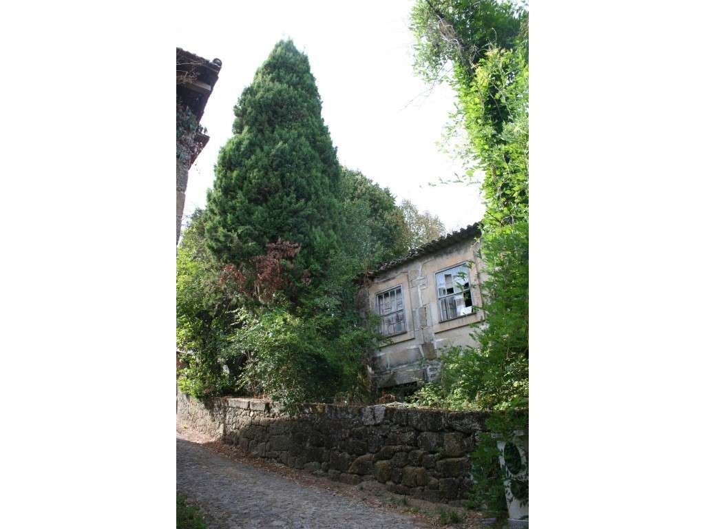 Quinta em região demarcada do Dão - Grande imagem: 5/43