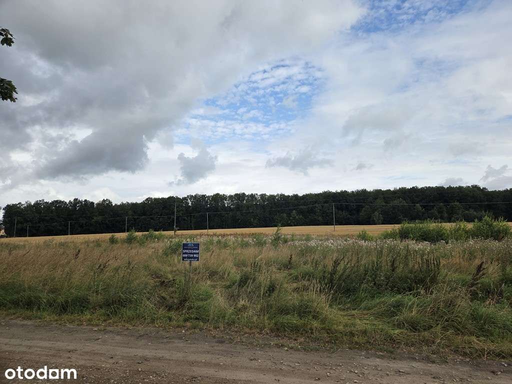 Działka budowlana Sieroczyn-5