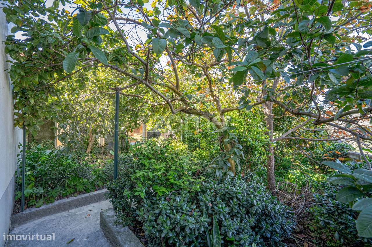 Moradia T6 na Ribeira Brava – Espaço e potencial investimento-39