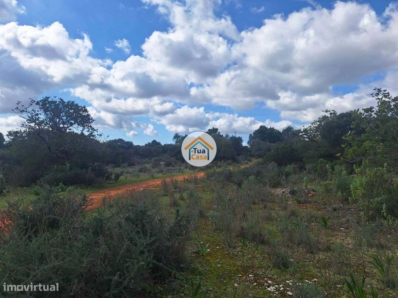 Terreno com ruína no Medronhal na freguesia de Santa Barbara de Nexe d - Grande imagem: 5/15