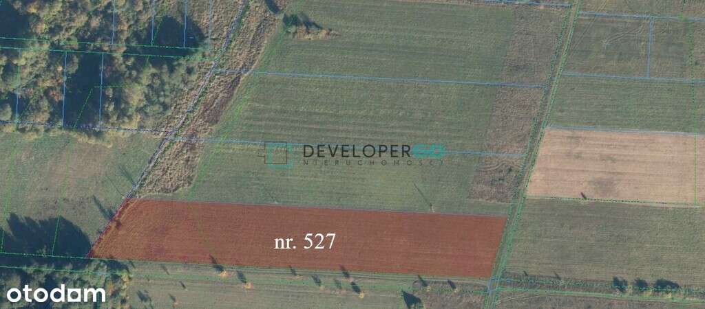 Siedlisko w Puszczy Białowieskiej z 2,8ha gruntu-8