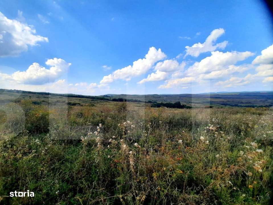 Teren intravilan de 5800 mp, situat in Padureni - Imagine principală: 5/6