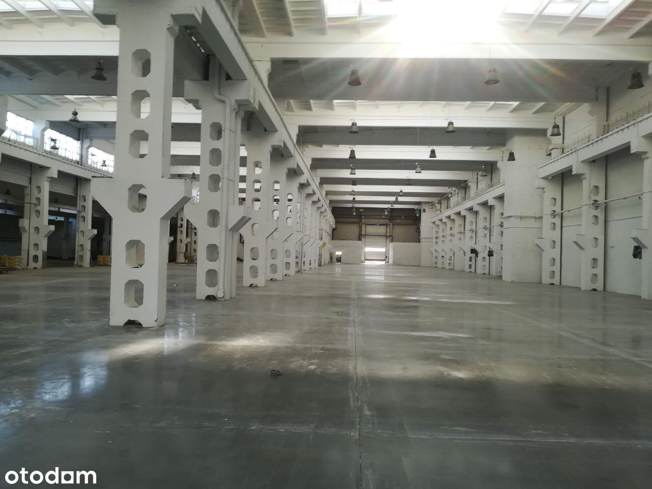 Wynajmę hale 1100 m2 magazynowo produkcyjną Łódź