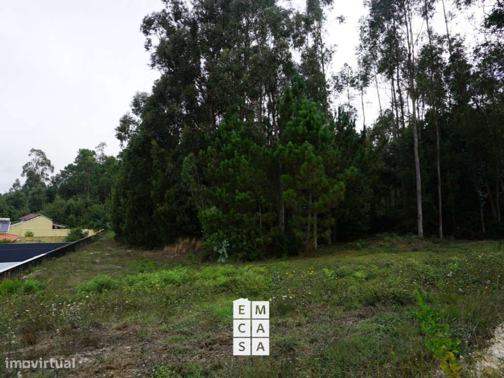 Terreno para Construção - Próximo do Castelo de Santa Maria da Feira - Grande imagem: 4/5
