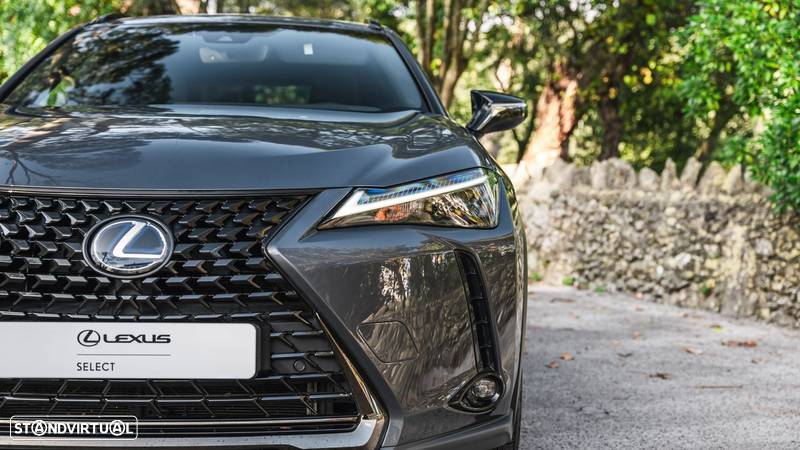 Lexus UX 250h Special Edition (LCA) - 16