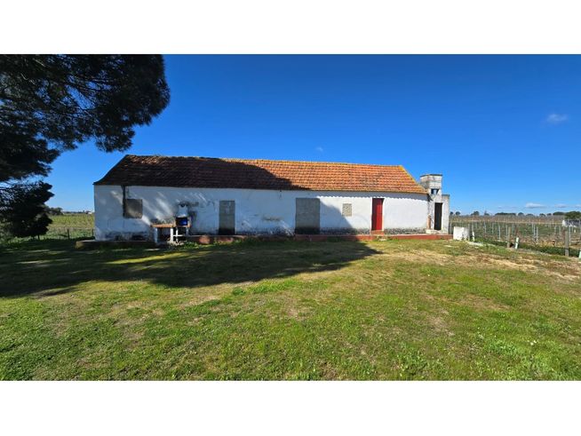 Herdade de 28.000m2 com vinha moscatel e habitações-3