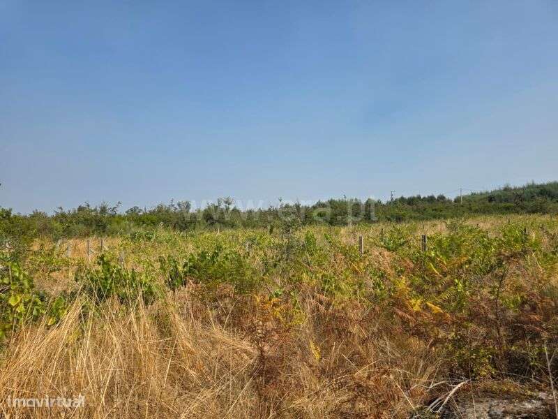 Quinta / Seia, Travancinha - Grande imagem: 4/9