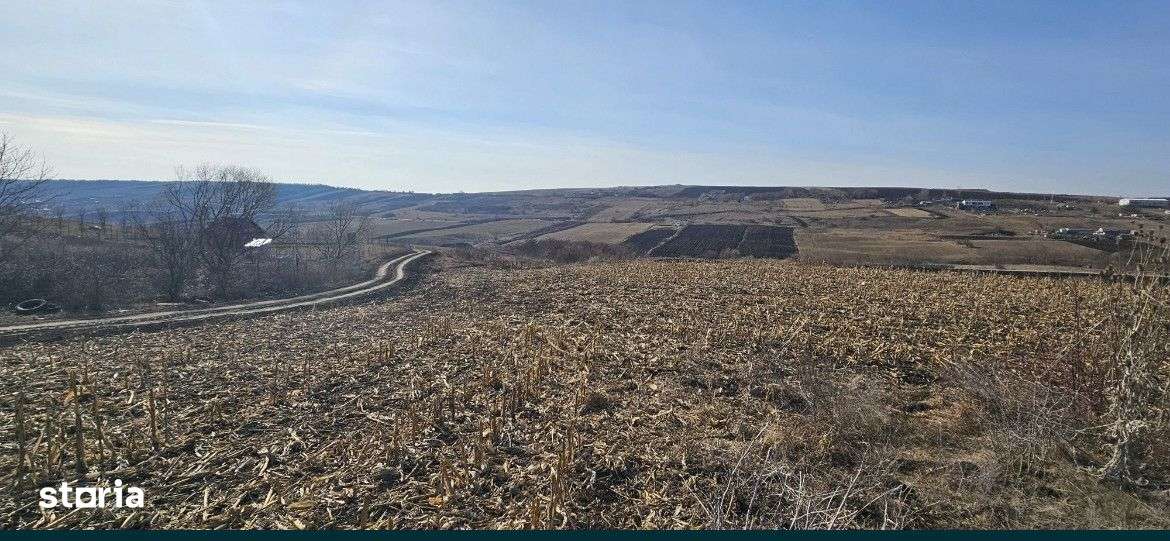 Teren 5800 mp, zona Valea Fanatelor - Imagine principală: 3/4