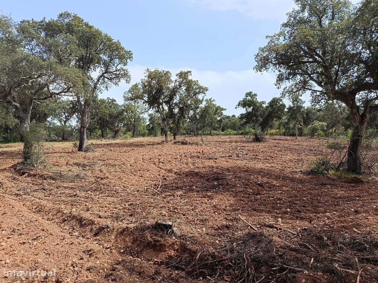 Terreno Rústico com 1.6ha Monfortinho-10