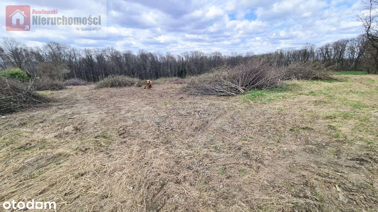 Działka, 9 900 m², Mogilany - Pełny obrazek: 3/4