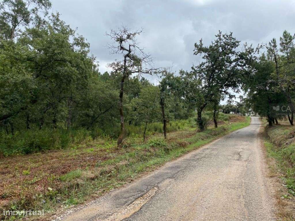 TERRENO - SOURE - Grande imagem: 3/9
