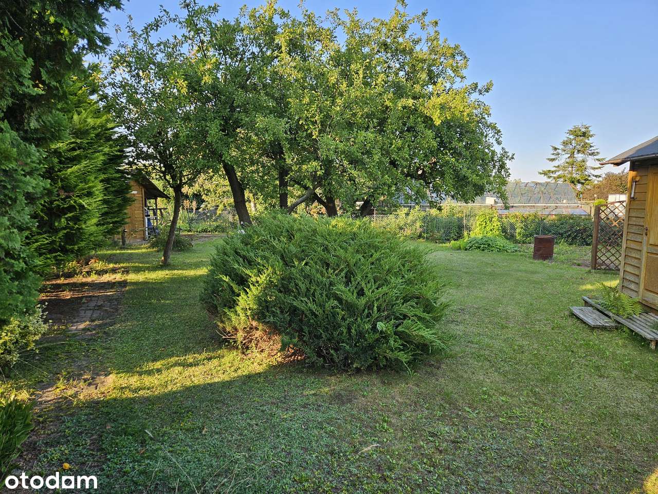 Działka rekreacyjna ROD Obłuże o powierzchni 503 m2 - Pełny obrazek: 1/15