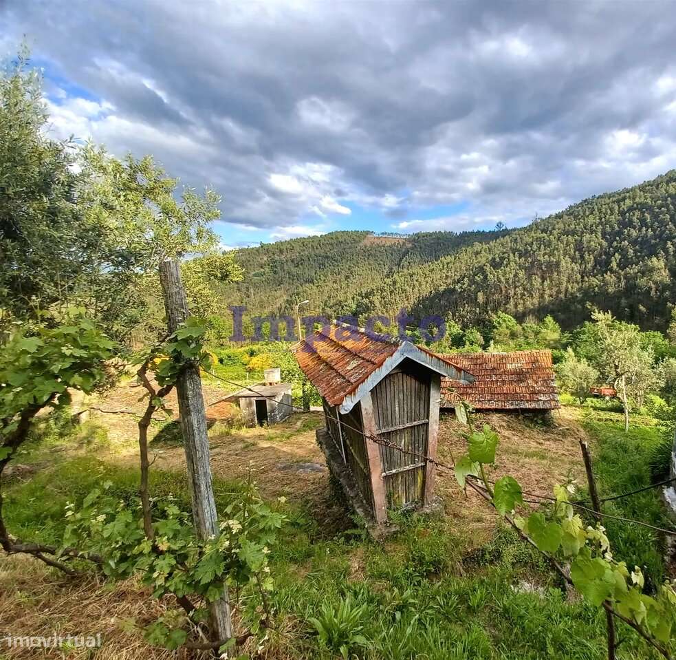 Moradias para reabilitação em Sergido, Arouca - Grande imagem: 4/5