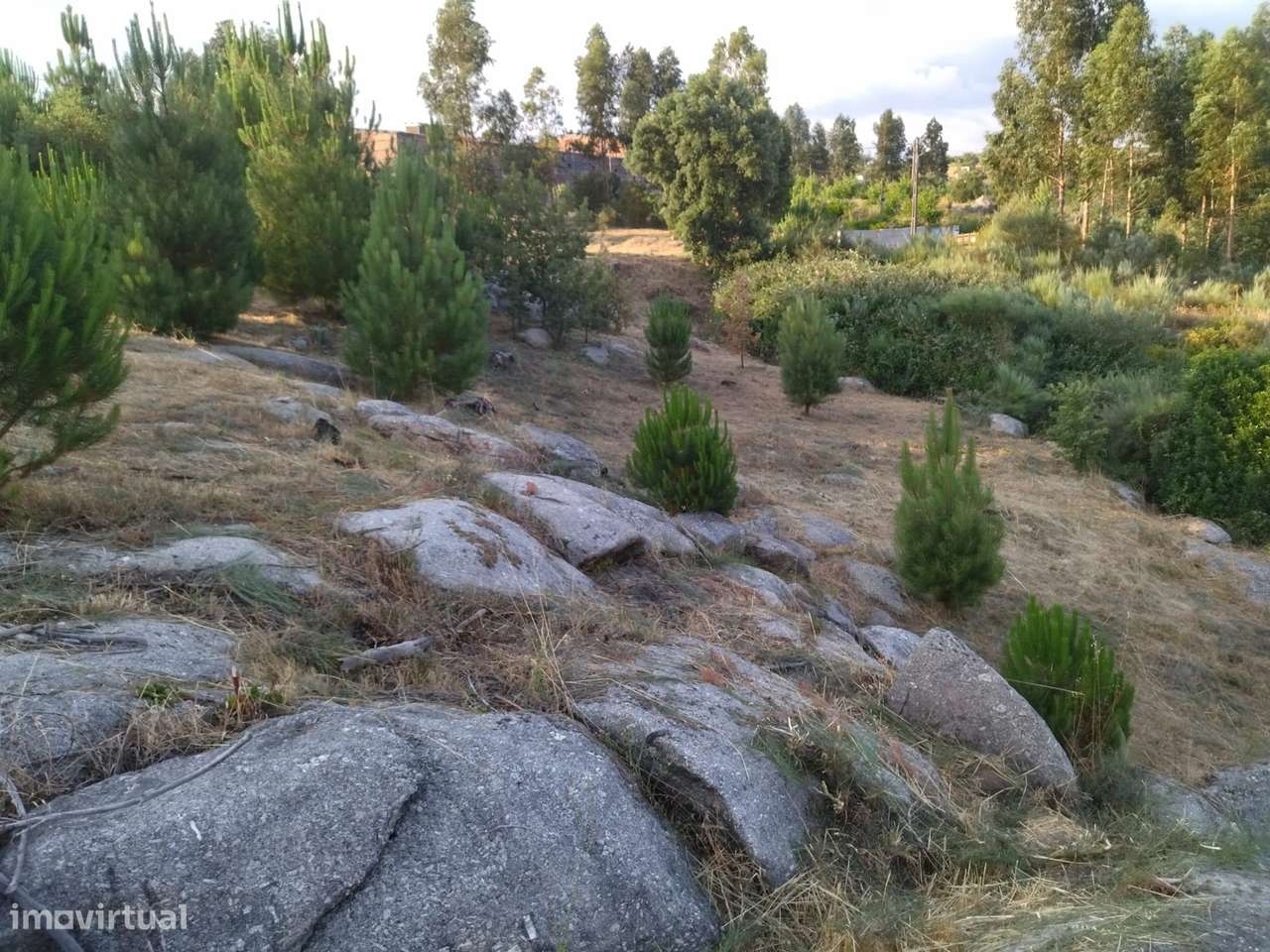 Terreno Para Construção  Venda em Lagares,Oliveira do Hospital - Grande imagem: 4/5