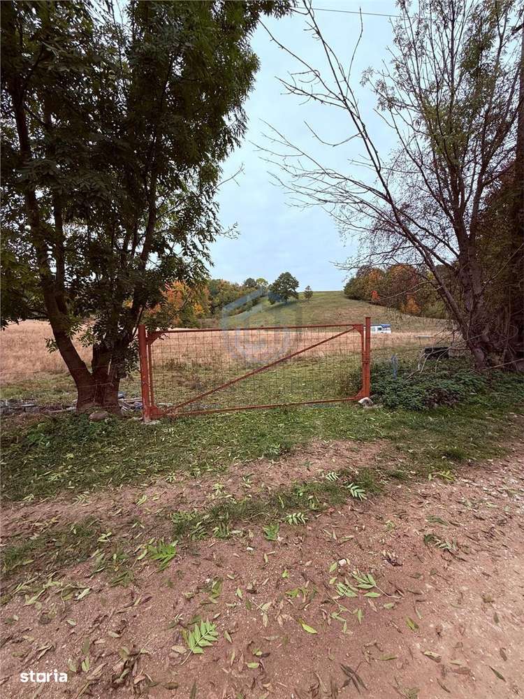 Teren intravilan 17,265 mp in Tomnatic, comuna Vadu Crisului - Imagine principală: 5/7