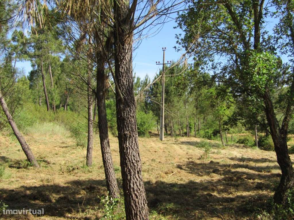 P26-238 Casal da Loba - Terreno Urbanizável no Centro de Portugal e...-22