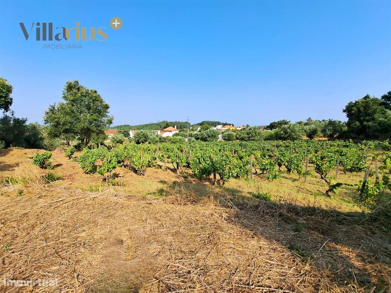 Terreno 11.513 m² com Projeto Aprovado — Tomar-9