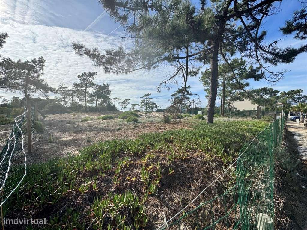 Tróia - Terreno de Luxo à Beira Mar - Grande imagem: 3/8