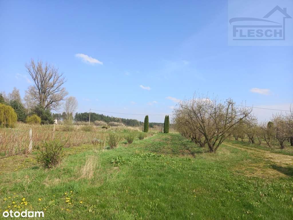 Działka-rolno budowlana Pniewy 15100 m² - View 2